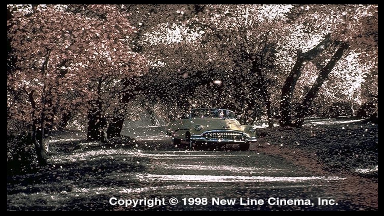 Light beige car drives down a path lined with cherry blossom trees, covered in falling petals. The image is in black-and-white except for the green car and the pink petals.