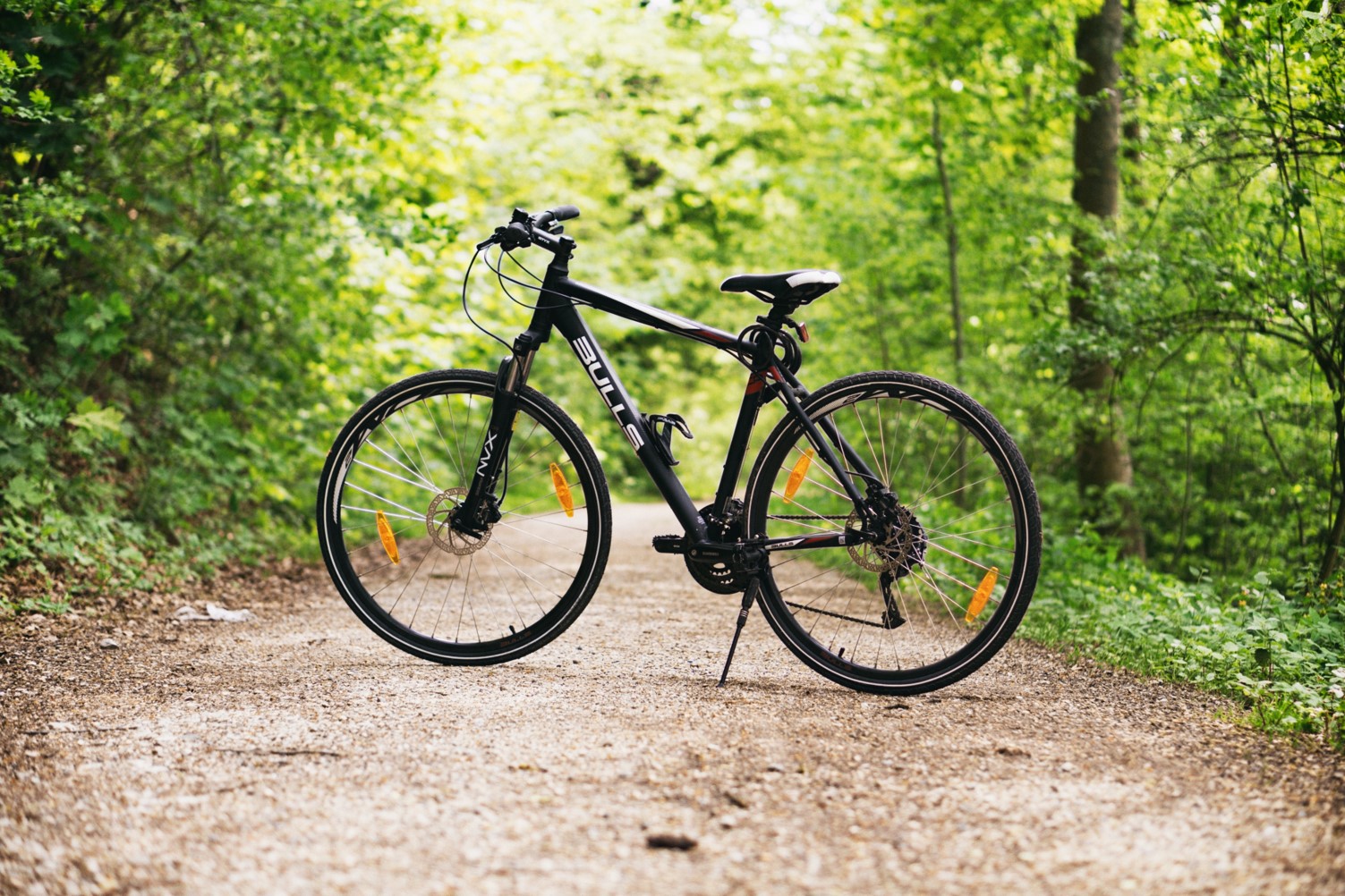 A colour photo of a bicycle sitting in the middle of a dirt path. Trees with green leaves fill the background.